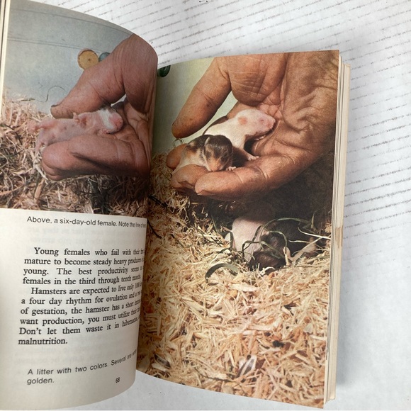 Teddy Bear Hamsters By Mervin F. Roberts Trade Paperback 1974 - Picture 9 of 9